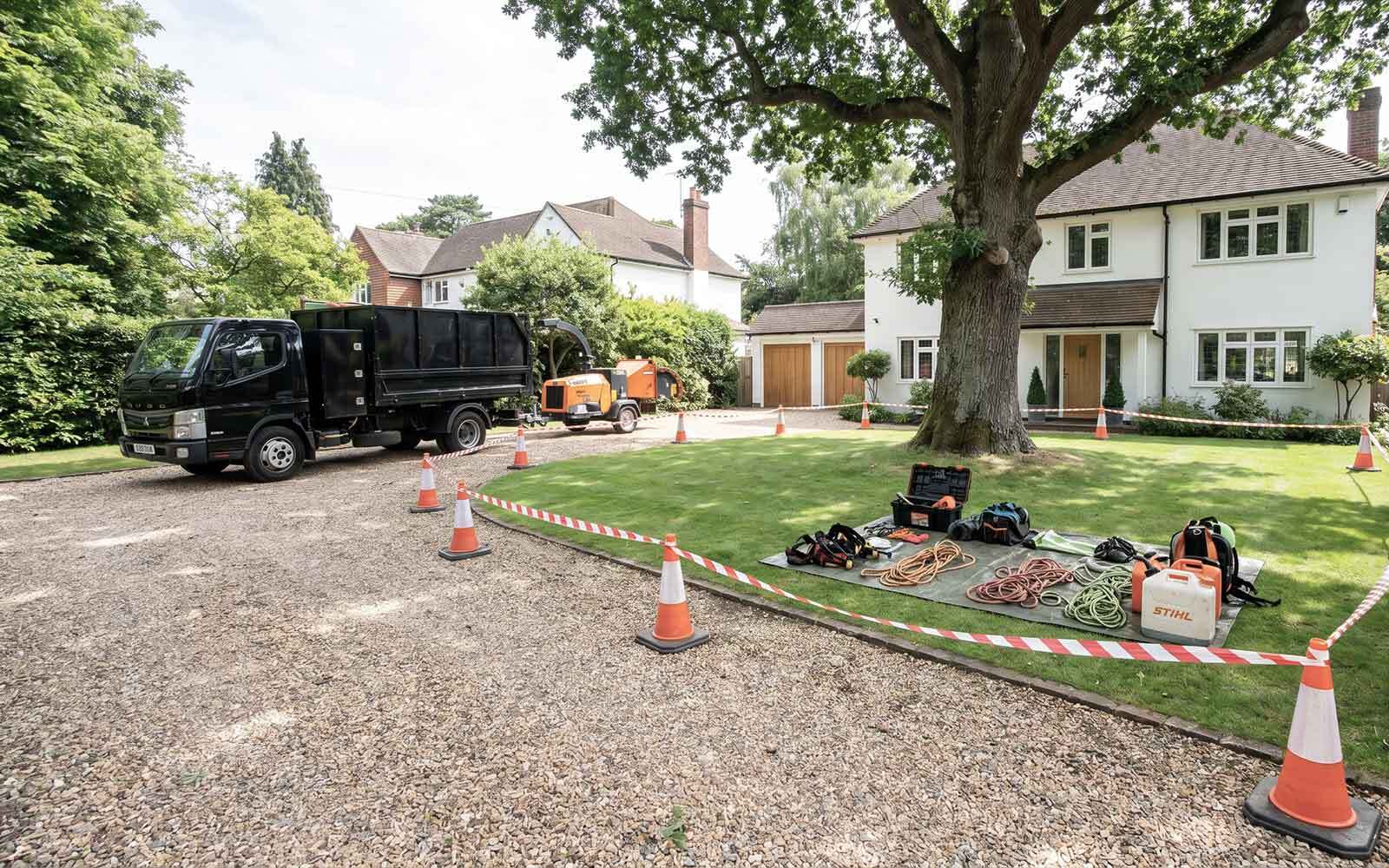 Acorn Tree Surgery Work